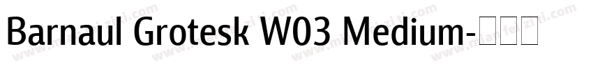 Barnaul Grotesk W03 Medium字体转换